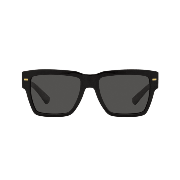 IR Black Ruthenium P2291 Boss Sunglass - Image 4